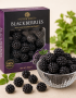 Blackberries